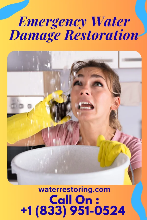 Emergency Water Damage Restoration in Wales, ND